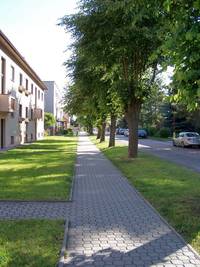 Černožice (52).JPG